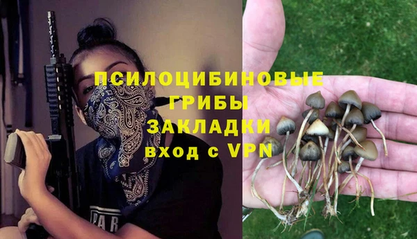 не бодяженный Верея